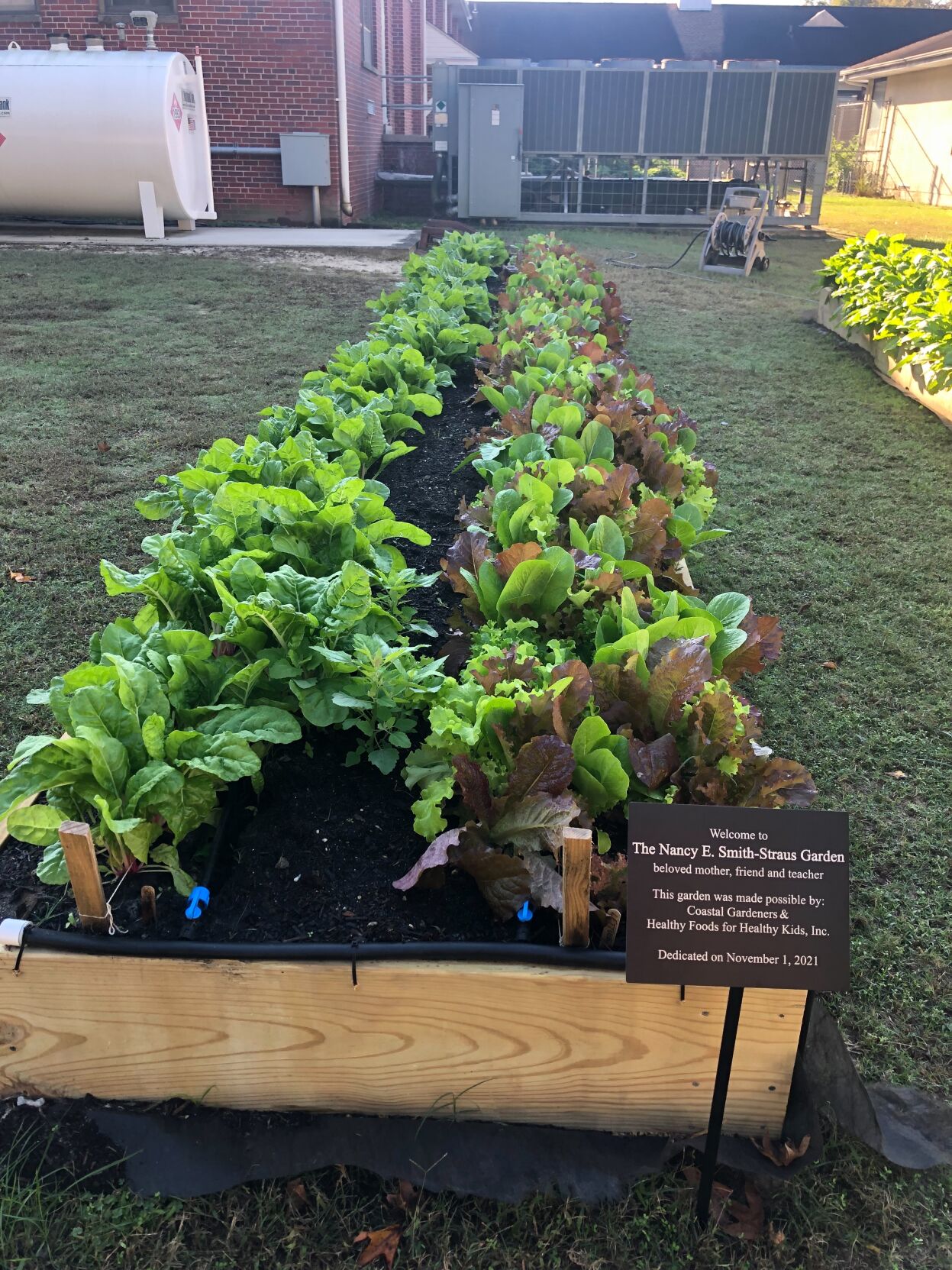 Garden dedication.jpeg
